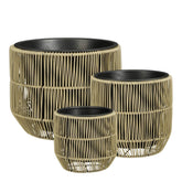 Bloempot buiten Peta Groen